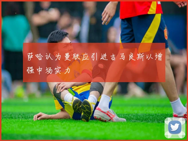 萨哈认为曼联应引进吉马良斯以增强中场实力